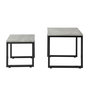 Voir la diapositive 1 : SOBUY SoBuy - Lot De 2 Tables D'appoint - Industriel - FBT42