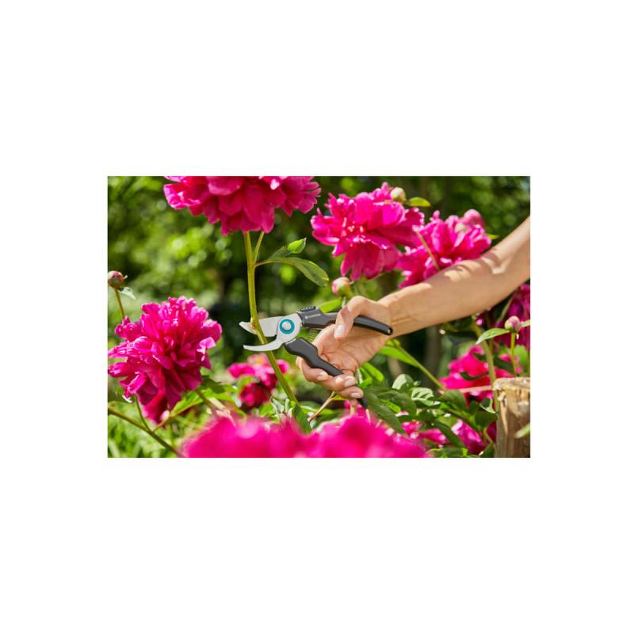 Voir la diapositive 5 : Gardena Sécateur à lame franche EcoLine GARDENA - Acier inoxydable - 18 mm - 12210-20