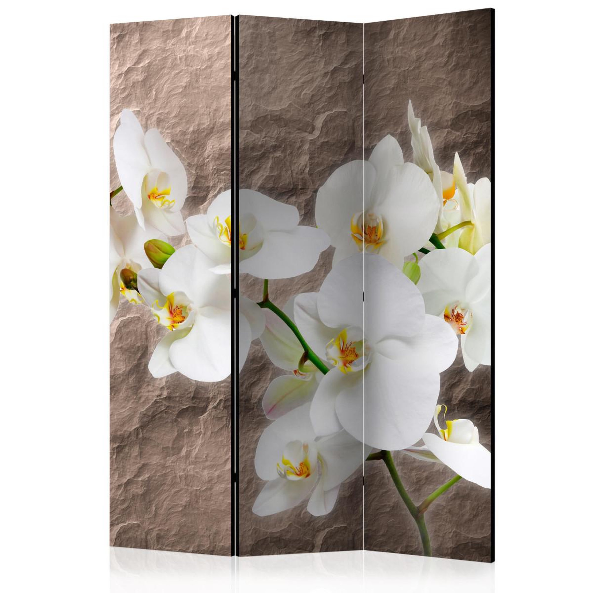 Paris Prix Paravent 3 volets  impeccability of the orchid  135x172cm