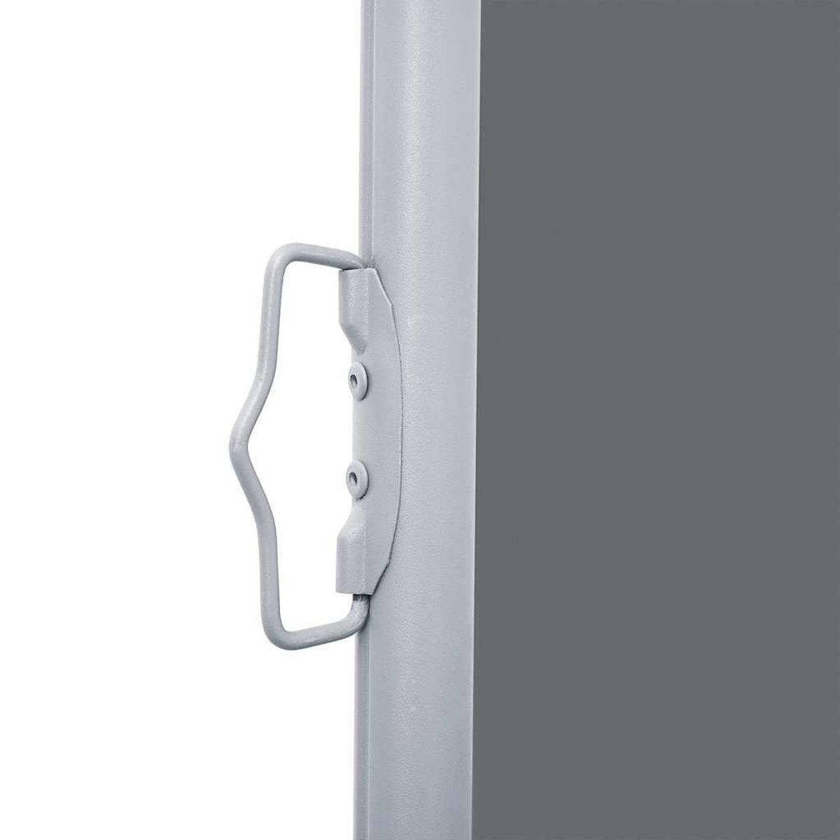 VIDAXL Auvent lateral retractable Anthracite 100 x 1000 cm