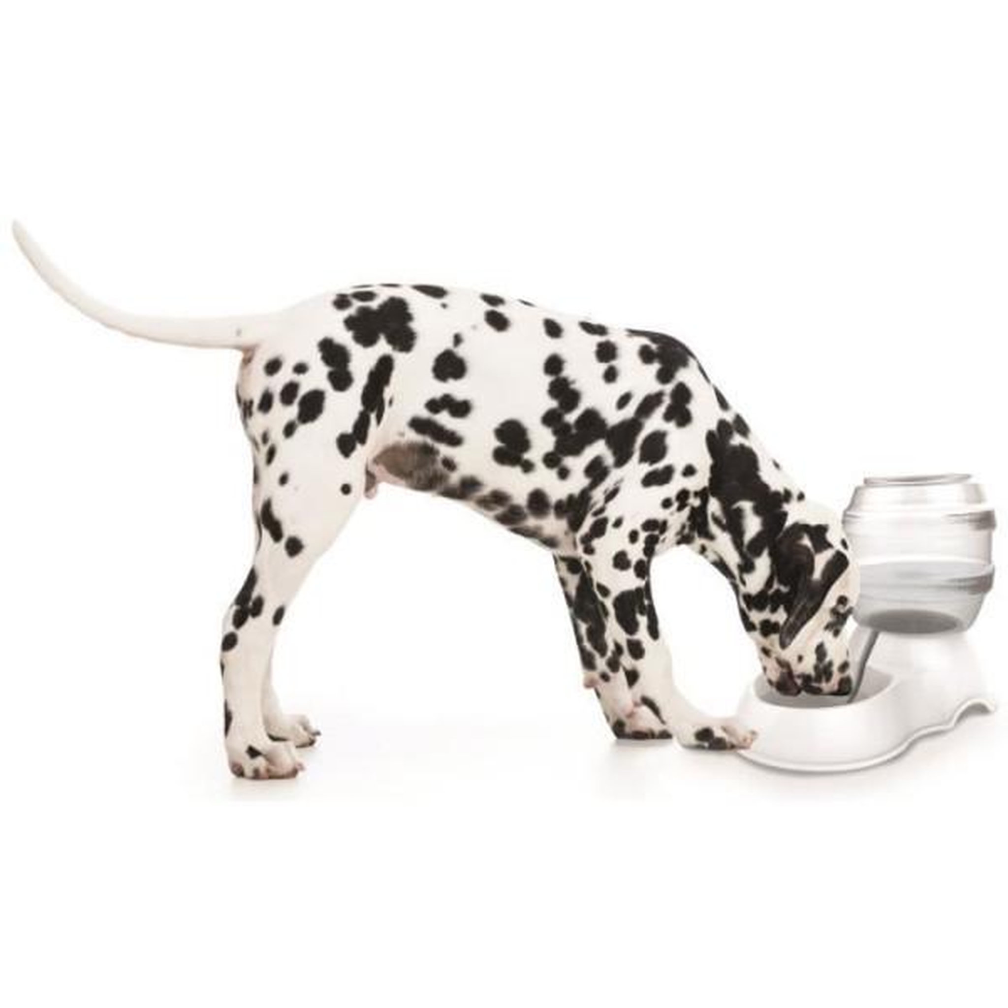 Voir la diapositive 2 : M PETS M-PETS Distributeur d'eau Cylinder - 3500ml - Blanc - Pour chien