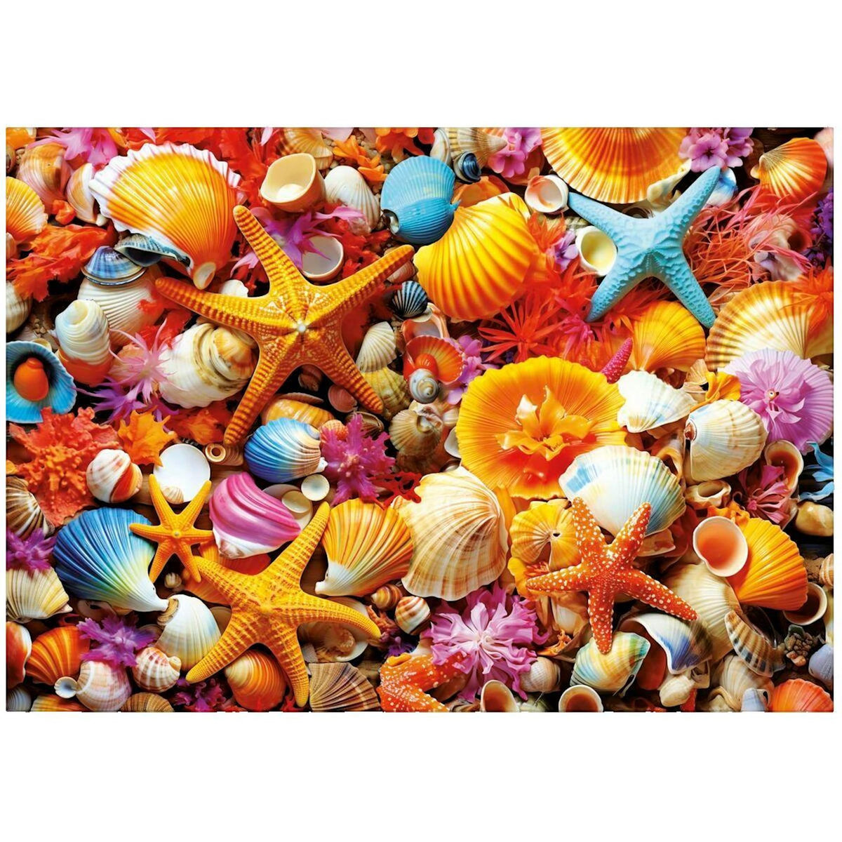 EDUCA Puzzle Educa Puzzle 1000 pièces Collage de coquillages