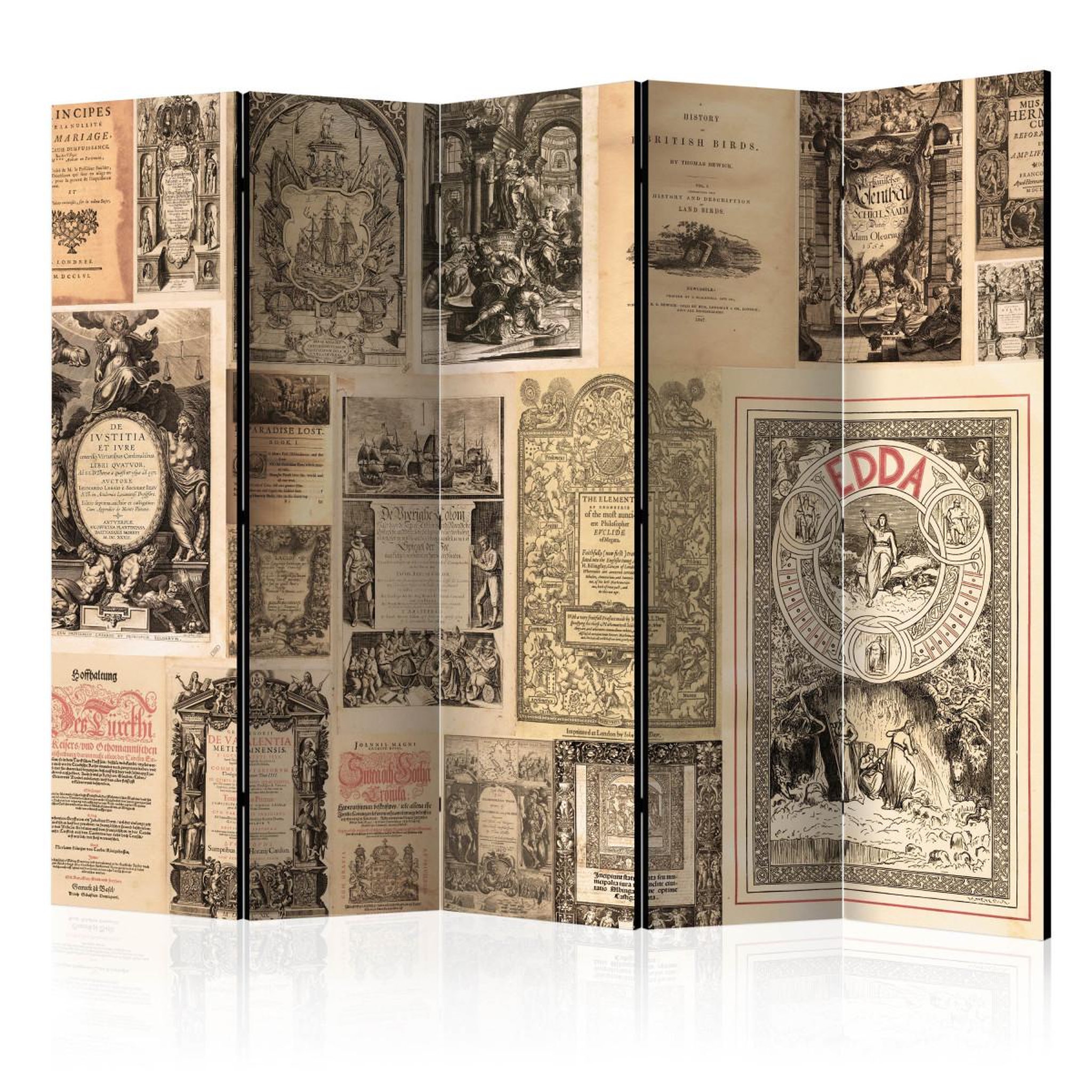 Paris Prix Paravent 5 volets  vintage books  172x225cm