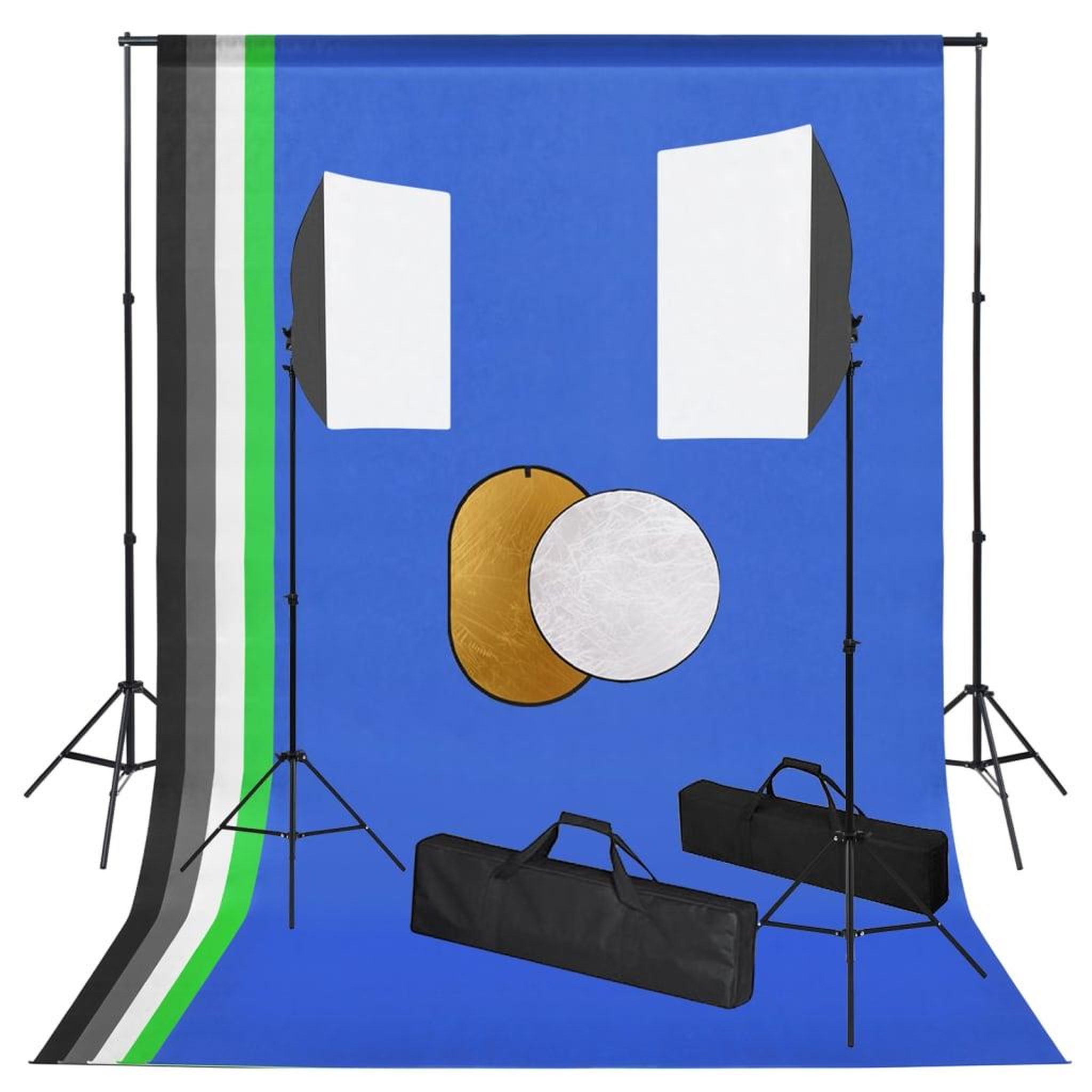 VIDAXL Kit de studio photo avec lampes toile de fond et reflecteur