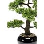 Voir la diapositive 3 : EMERALD Emerald Mini bonsaï Ficus artificiel Vert 47 cm 420006