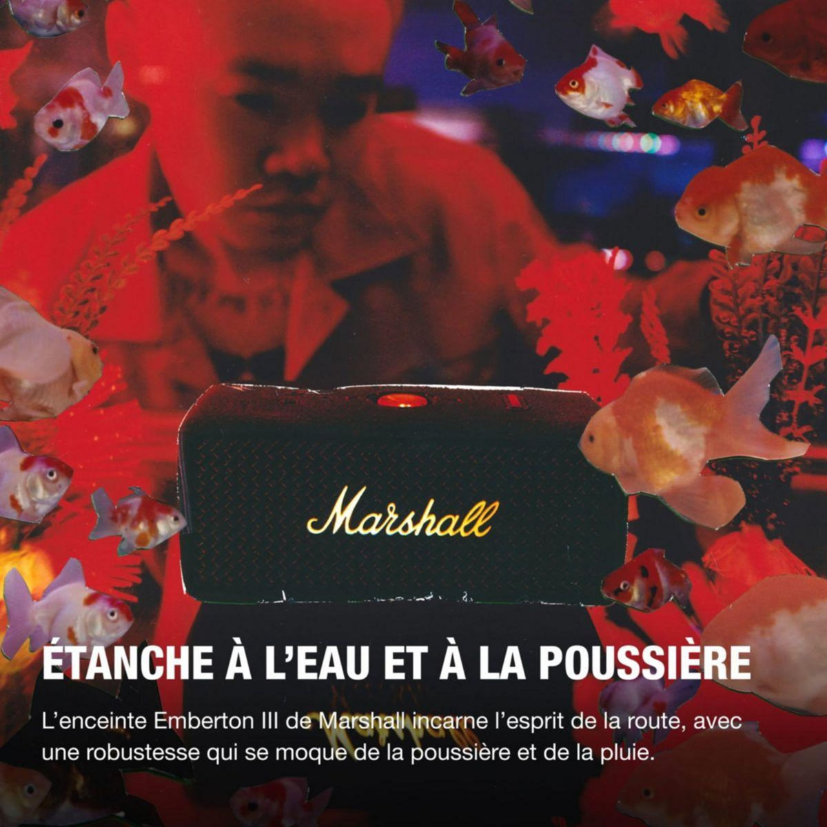 MARSHALL Enceinte portable Emberton III Black & Brass