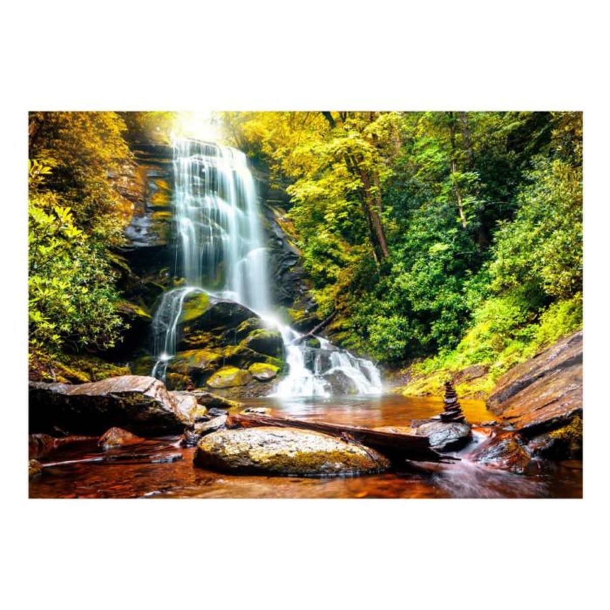 Paris Prix Papier Peint  Another Wonder of Nature