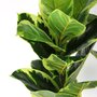 Paris Prix Plante Artificielle en Pot  Verdura  110cm Vert