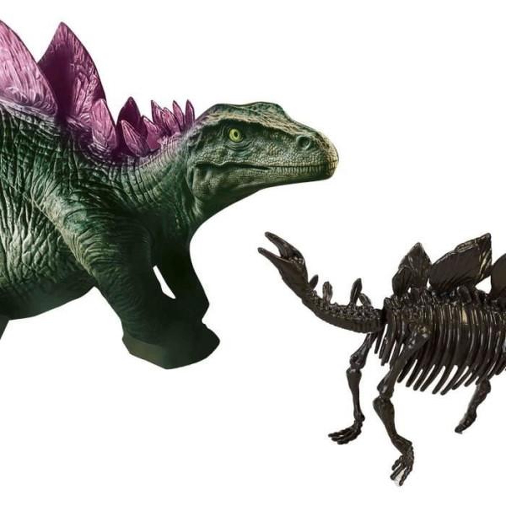 Voir la diapositive 3 : SES CREATIVE Fouille de dinosaures et de squelettes 2 en 1 - Stégosaure - SES CREATIVE