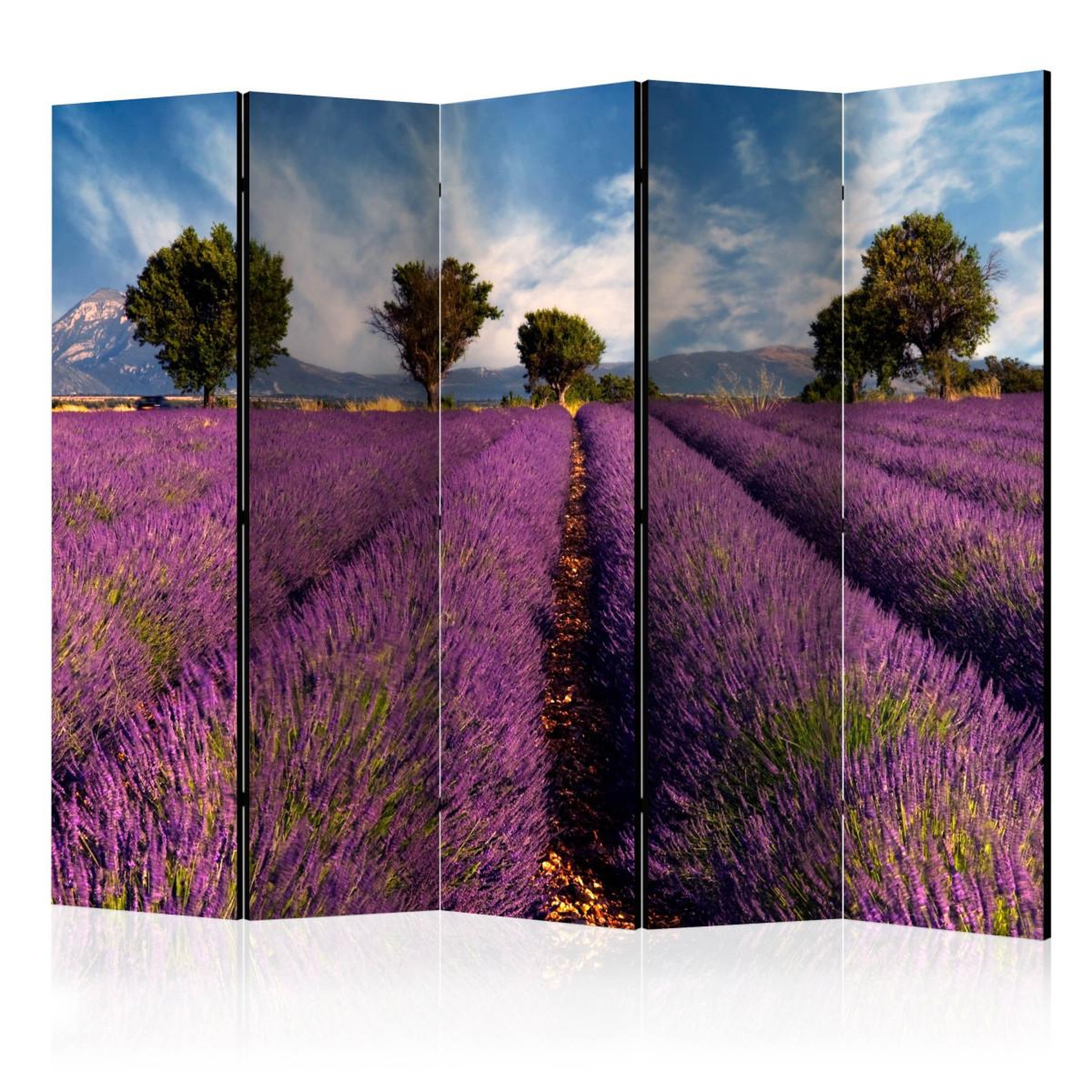 Paris Prix Paravent 5 volets  lavender field in provence, france  172x225cm