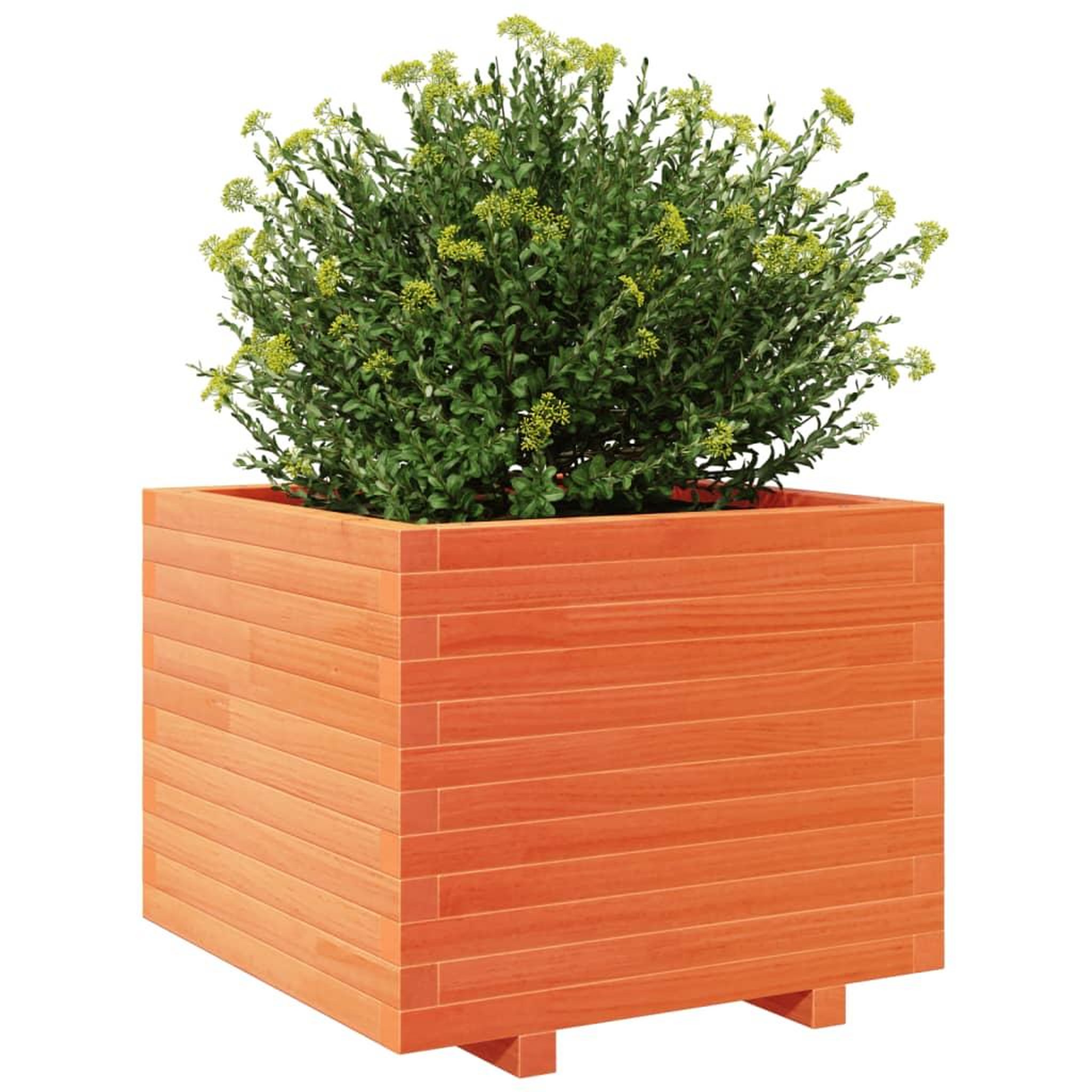 Voir la diapositive 4 : VIDAXL Jardiniere cire marron 60x60x49,5 cm bois de pin massif
