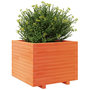 Voir la diapositive 4 : VIDAXL Jardiniere cire marron 60x60x49,5 cm bois de pin massif
