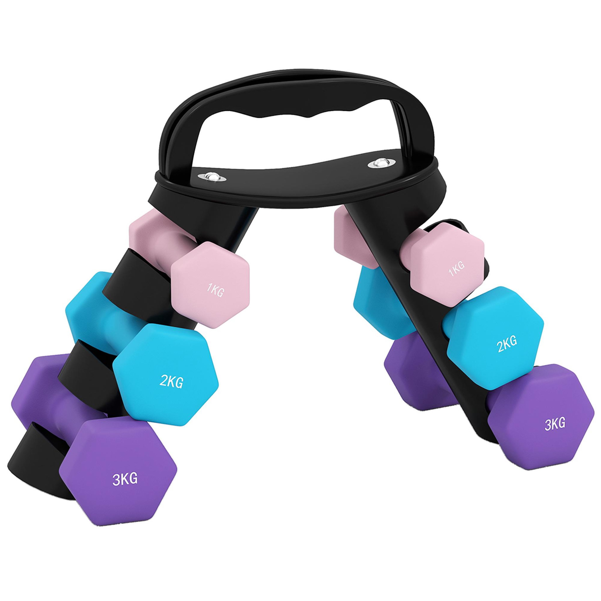 HOMCOM Support noir pour 6 haltères vinyles - 6 haltères incluses total 12 kg - noir rose bleu violet