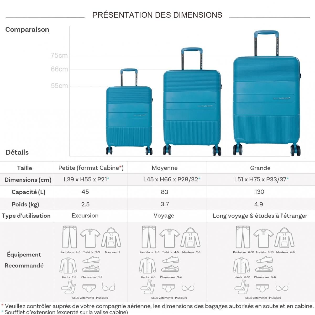 David Jones Lot 3 valises rigides dont 1 cabine TSA