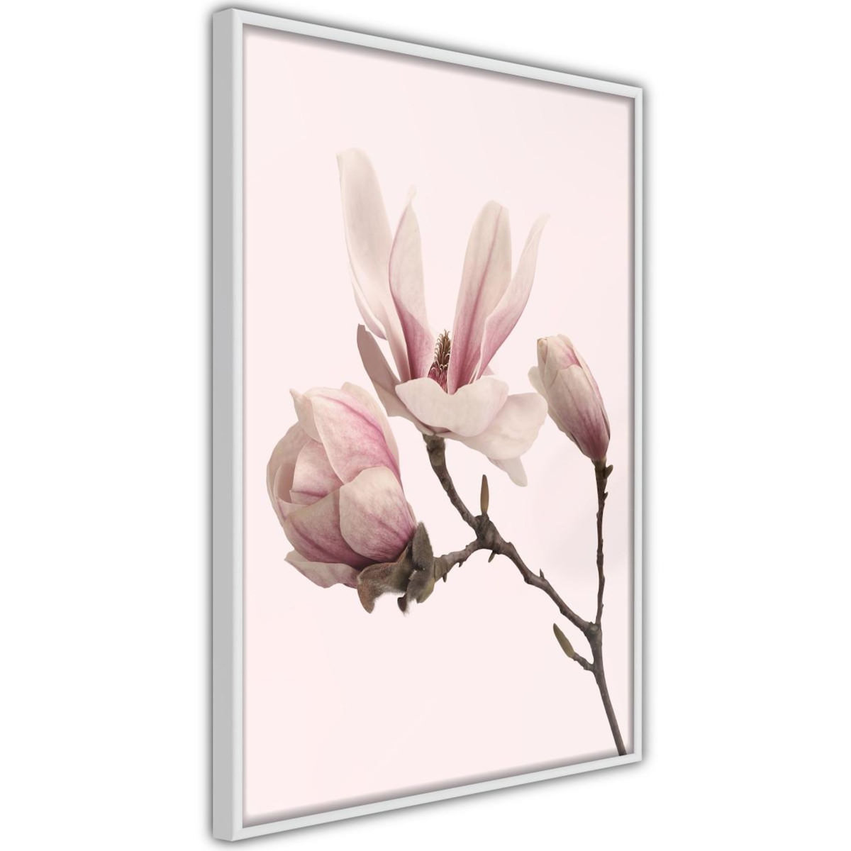 Paris Prix Affiche Murale Encadrée  Blooming Magnolias II