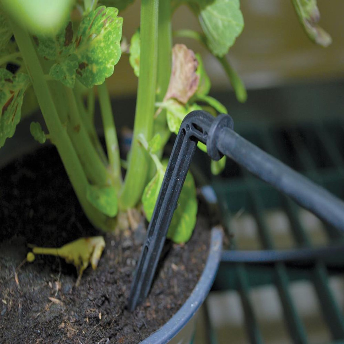 Habitat et Jardin Kit d'irrigation pour serre
