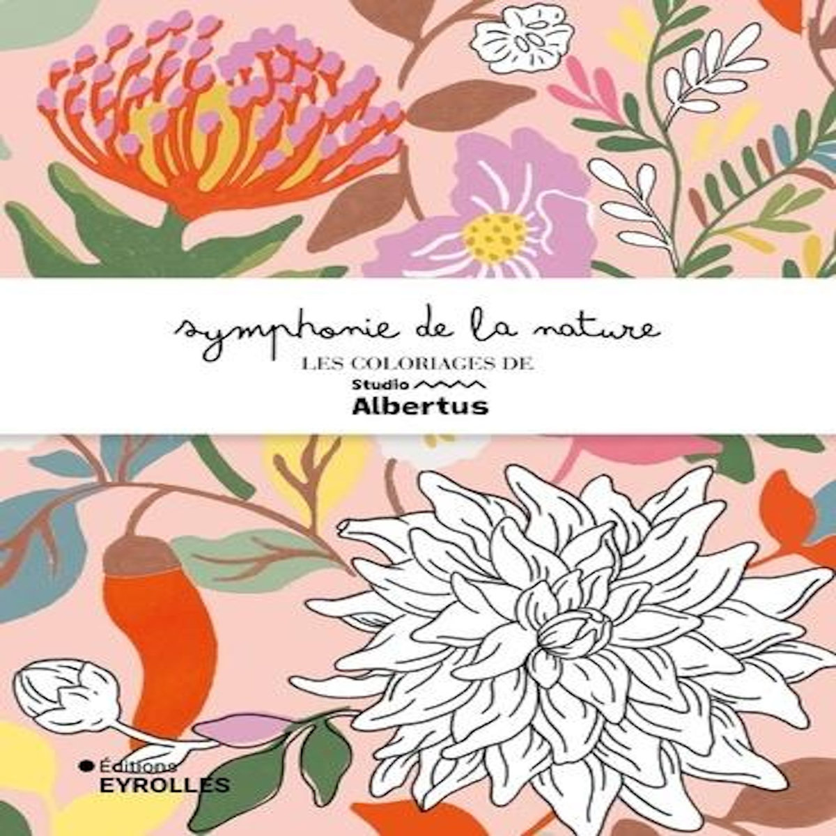 SYMPHONIE DE LA NATURE. LES COLORIAGES DE STUDIO ALBERTUS, Studio Albertus