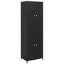 Voir la diapositive 2 : VIDAXL Armoire de rangement de jardin Noir 59x40x180 cm Resine tressee
