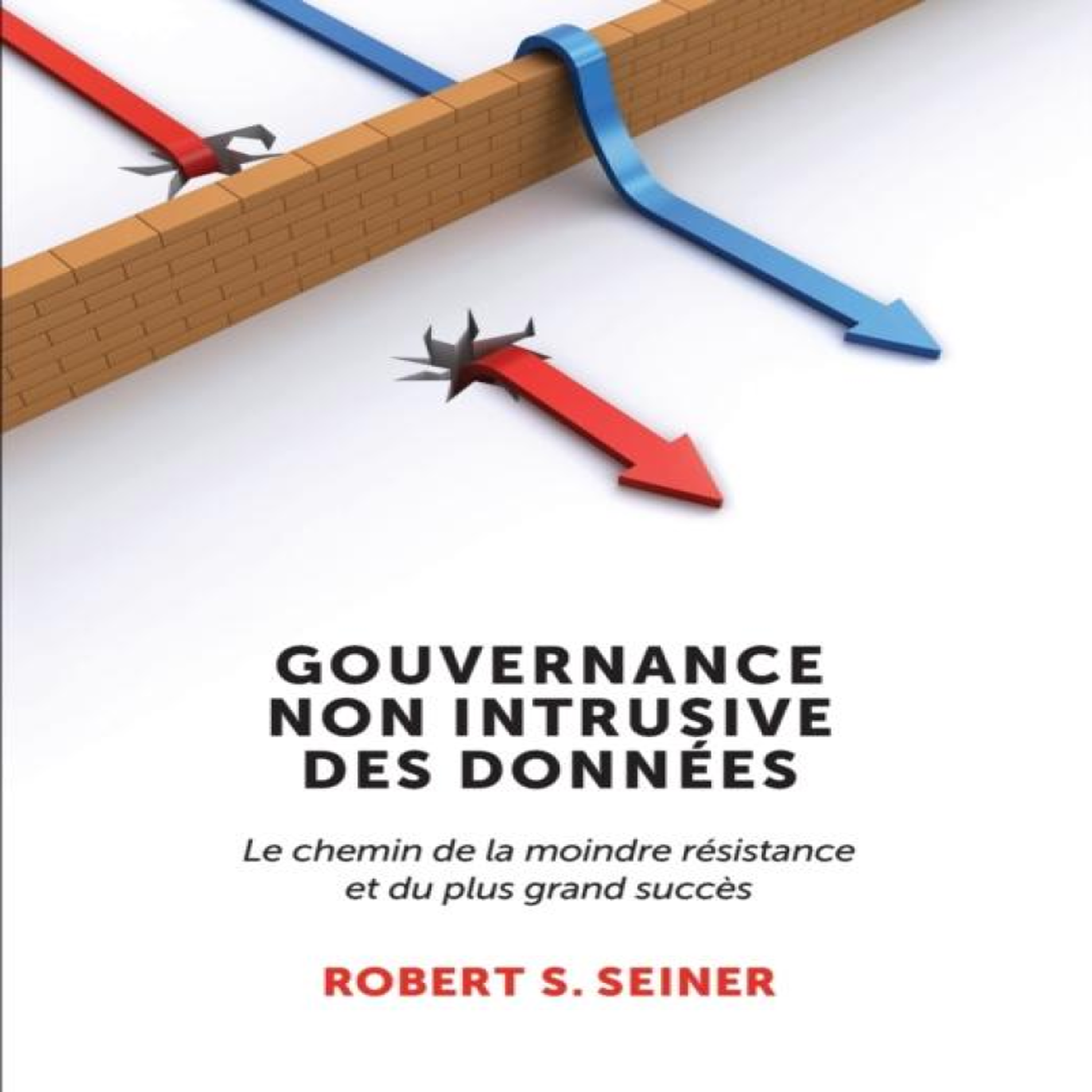 LIVRES Gouvernance Non Intrusive Des DonnÃ©es: Le chemin de la moindre rÃ©sistance et du plus grand succÃ¨s