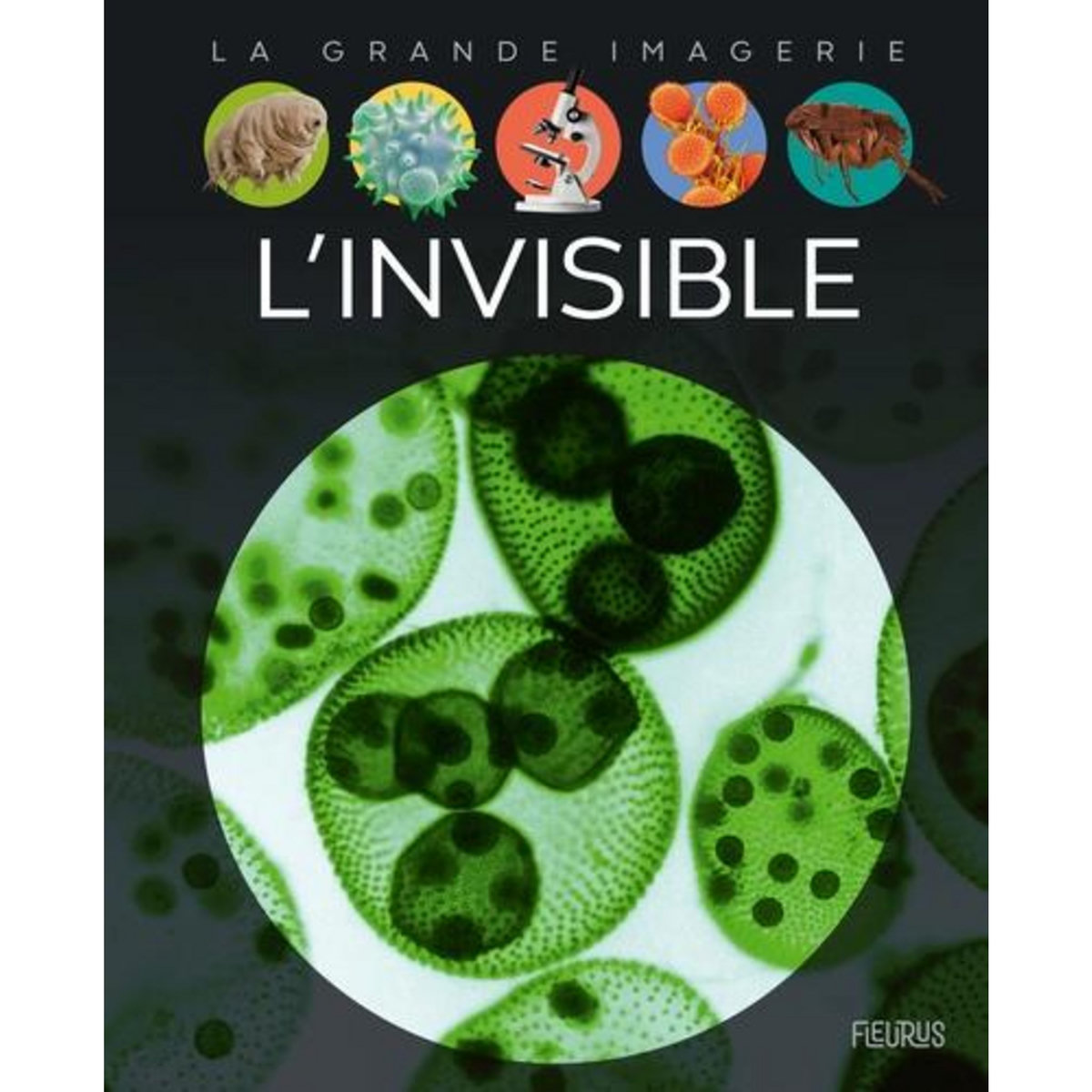 L'INVISIBLE, Sagnier Christine