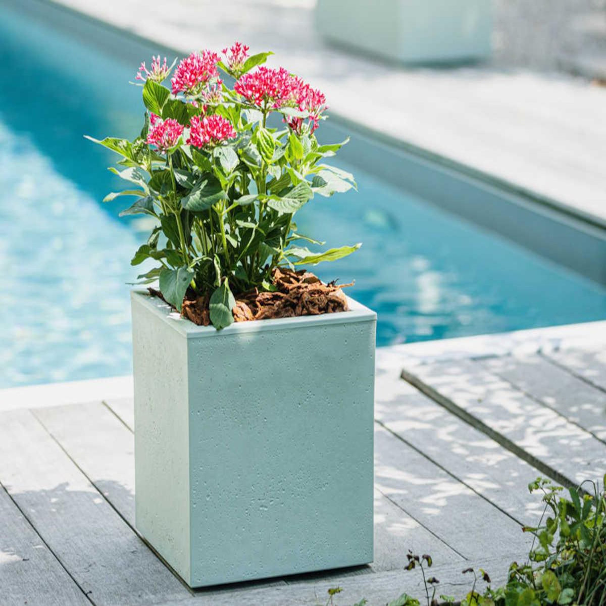 Eda Pot de fleurs carré Basalt Up 29,5 x 29,5 cm - 21 L - Vert amande - Eda