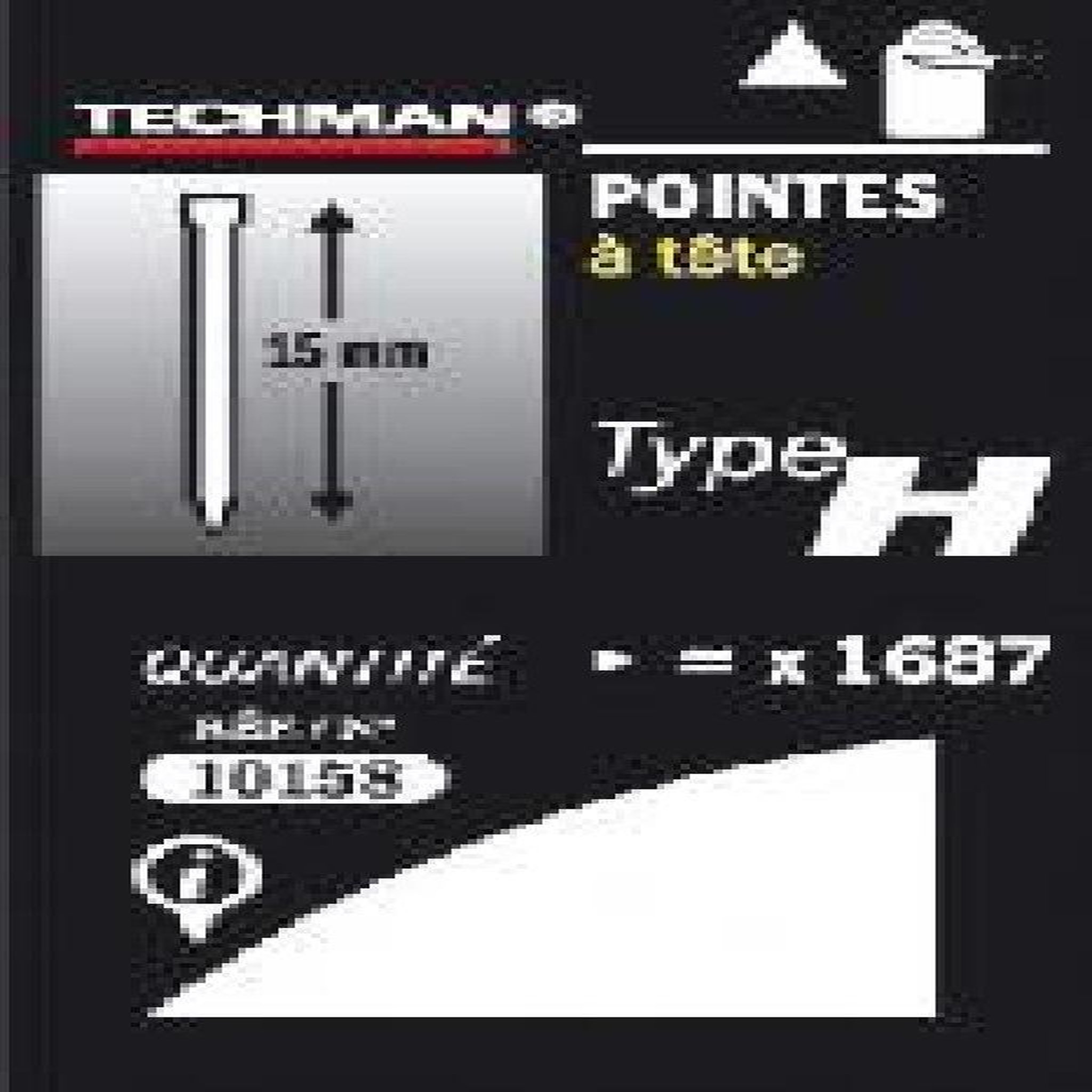TECHMAN Pointes 19 mm - type H