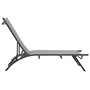 Voir la diapositive 3 : VIDAXL Chaises longues lot de 2 Textilene et acier