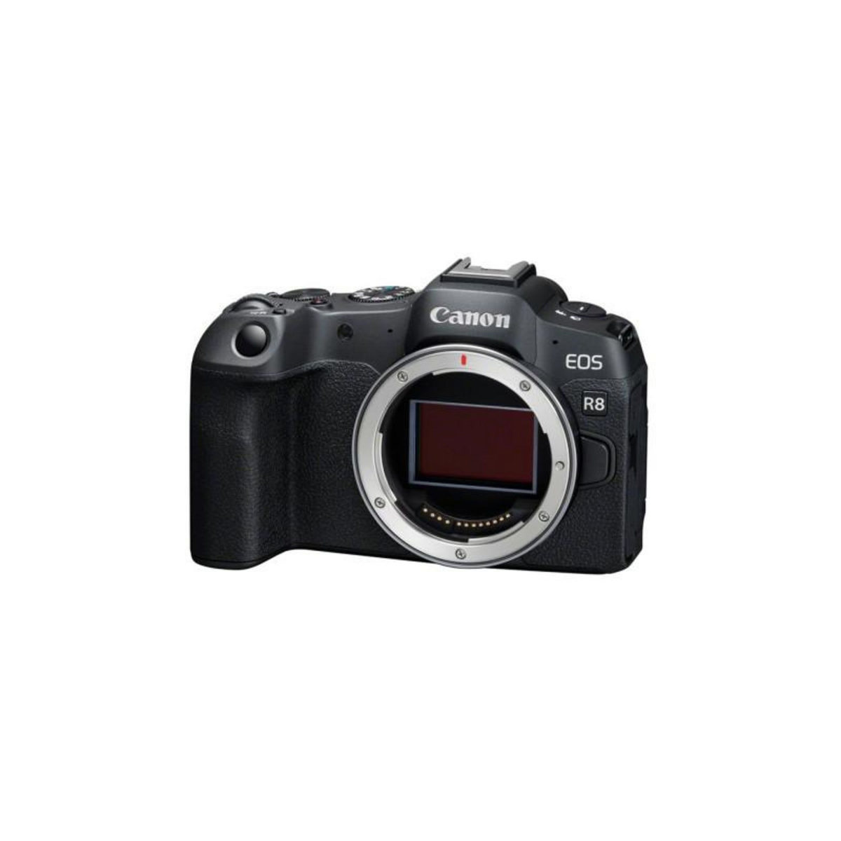 Canon Appareil photo hybride Canon Pack EOS R8 + RF 24 105mm F 4 7.1 IS STM + 2ème Batterie