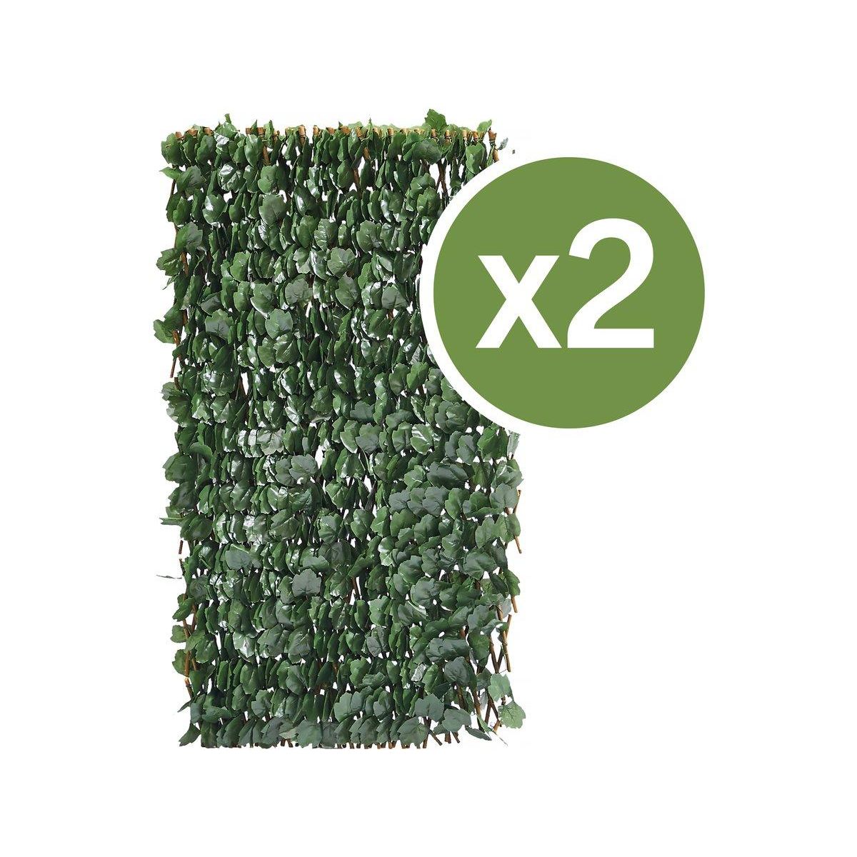 Habitat et Jardin Lot de 2  Clôtures en treillis de saule