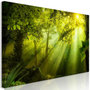 Voir la diapositive 1 : Paris Prix Tableau Imprimé  In the Sunshine Narrow