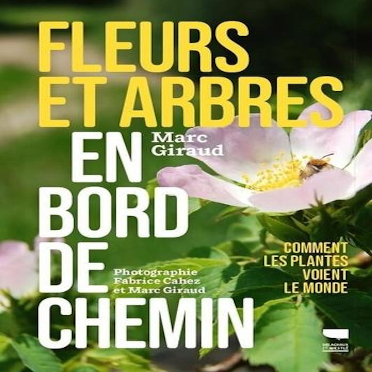 FLEURS ET ARBRES EN BORD DE CHEMIN, Giraud Marc