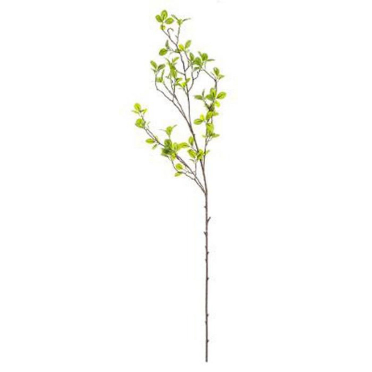 ATMOSPHERA Fleur Artificielle Tige  Mini Feuille  104cm Vert