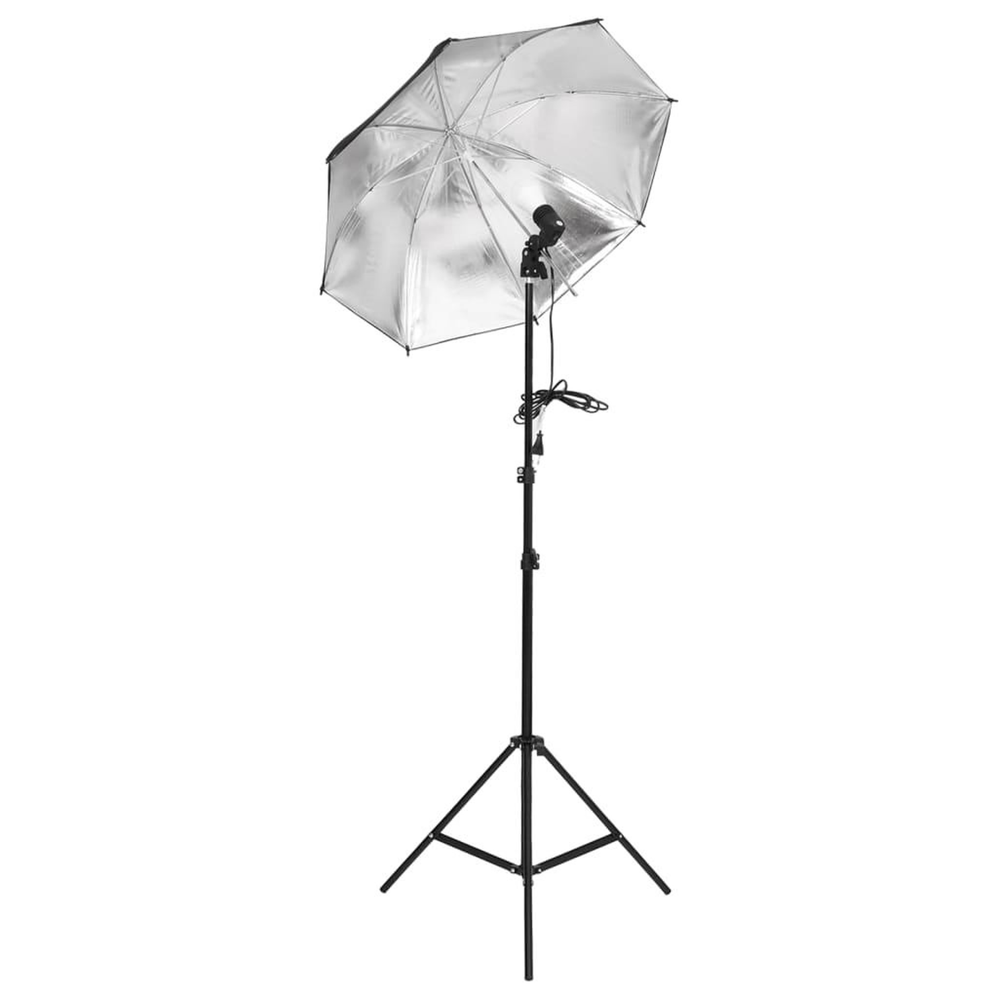 Voir la diapositive 5 : VIDAXL Kit de studio photo avec eclairage toile de fond et reflecteur