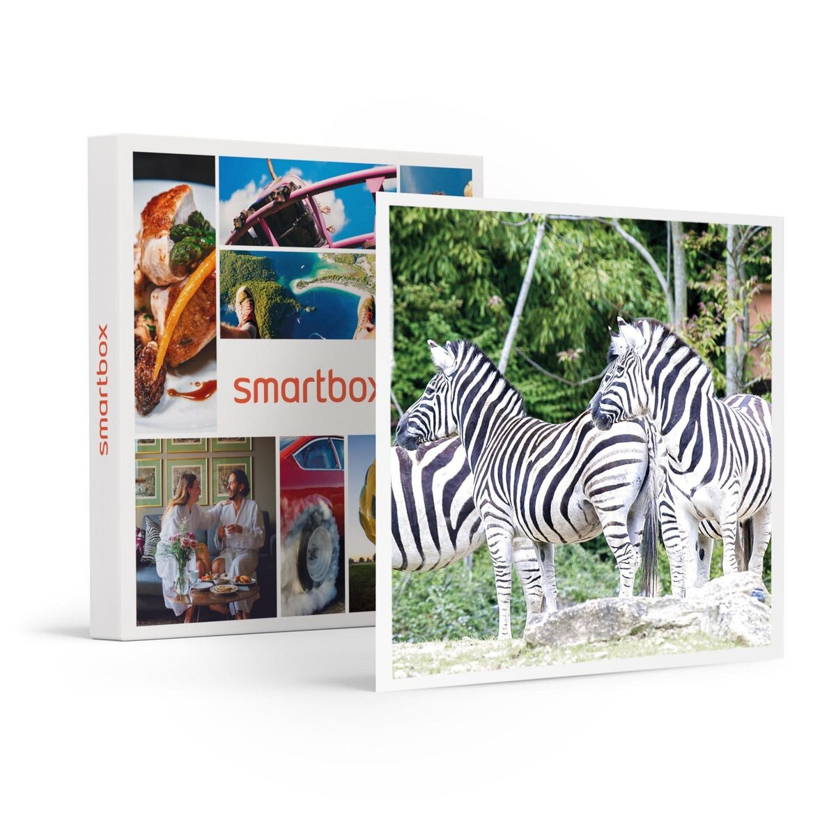 Smartbox Journée au Parc Zoologique d'Amnéville en famille - Coffret Cadeau Sport & Aventure