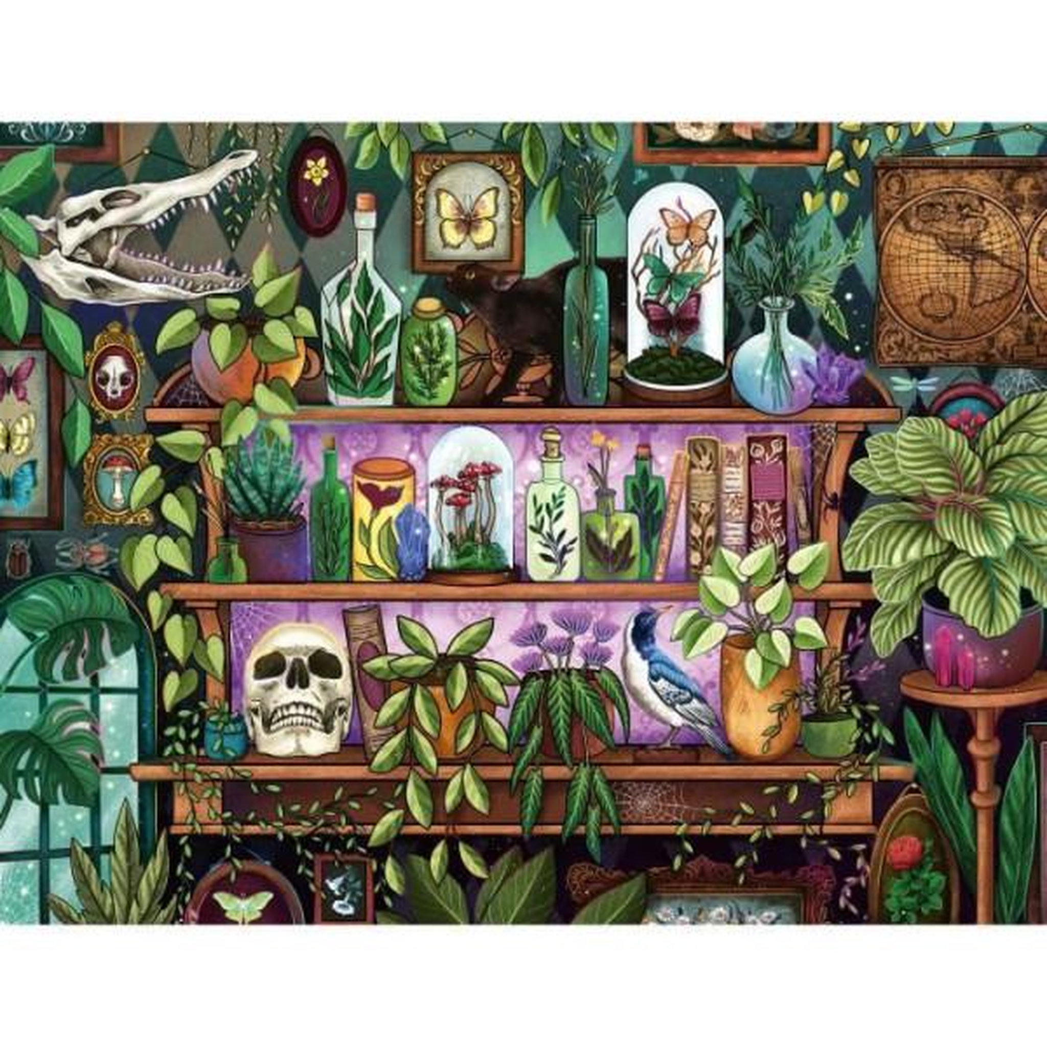 RAVENSBURGER Puzzle 2000 pieces, des 14 ans, bibelots et objets de sorciere, puzzle de qualité premium fabriqué en europe, plantes, 1200141