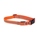 DIVERS Collier pour chien réfléchissant - Taille L. Coloris disponibles : Vert