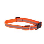 DIVERS Collier pour chien réfléchissant - Taille L. Coloris disponibles : Vert