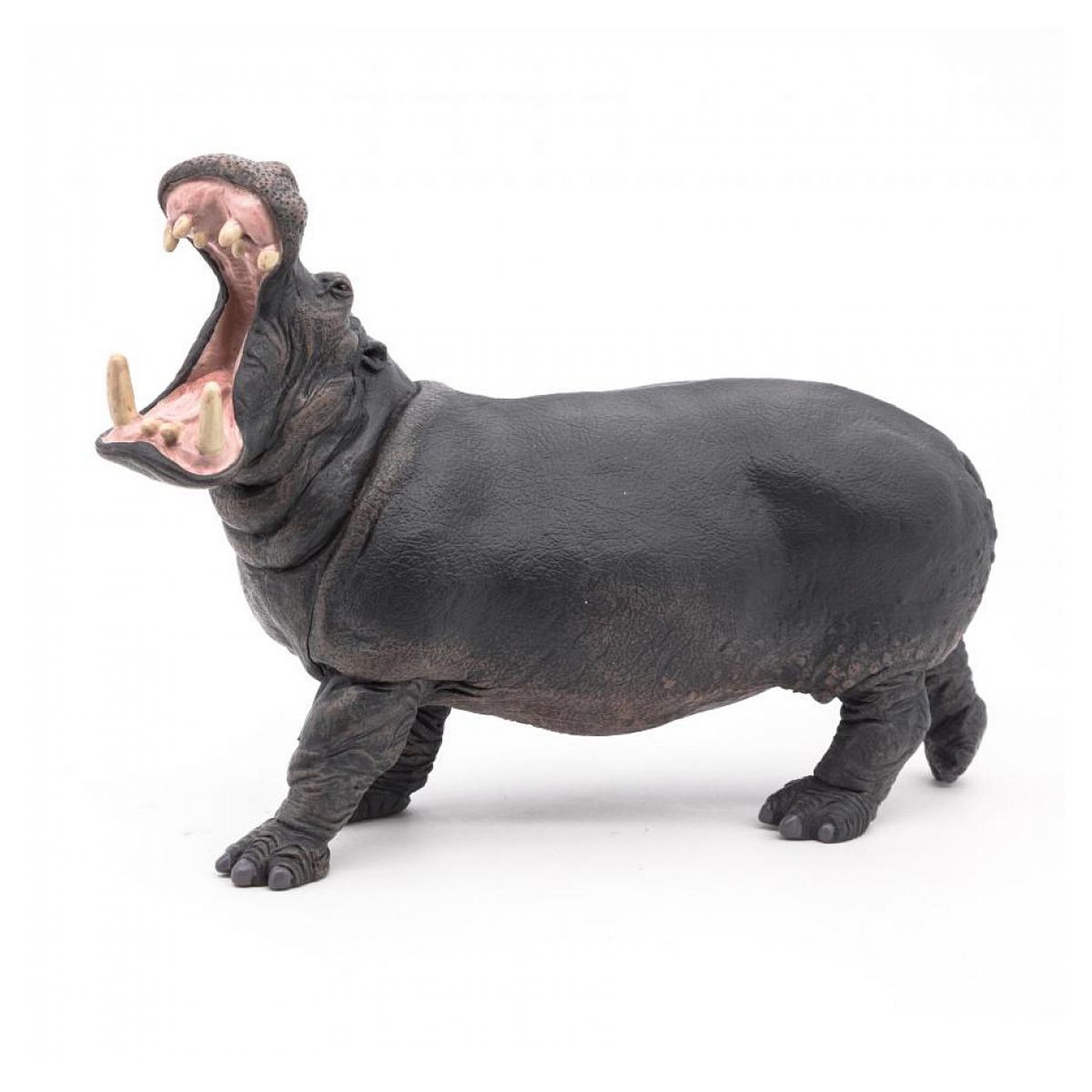 Voir la diapositive 2 : Papo 50051 figurine Hippopotame adulte