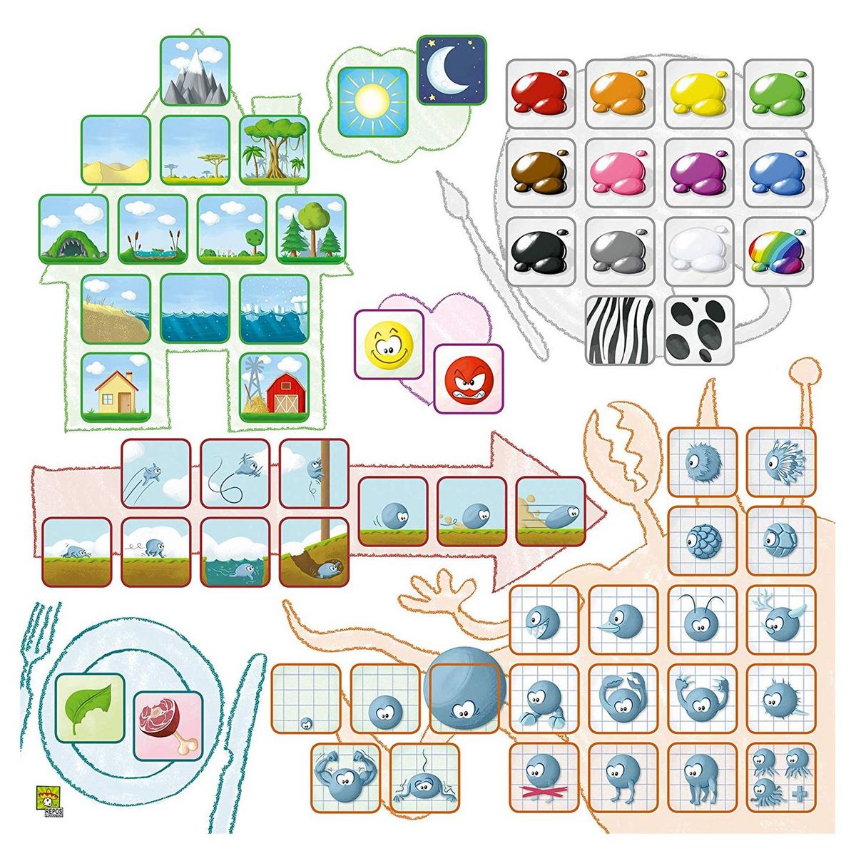 ASMODEE Jeu Concept Kid's : Animaux