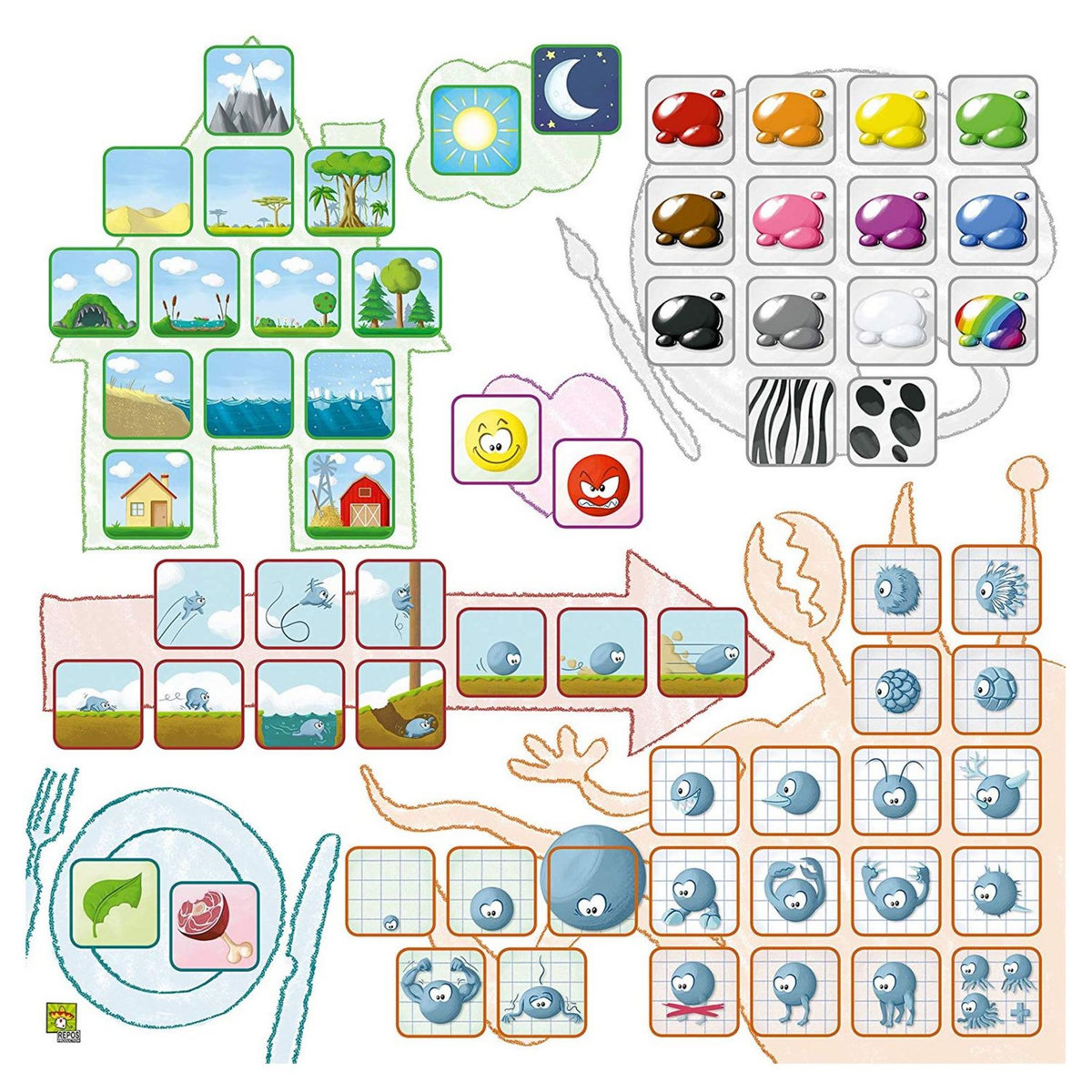 ASMODEE Jeu Concept Kid's : Animaux