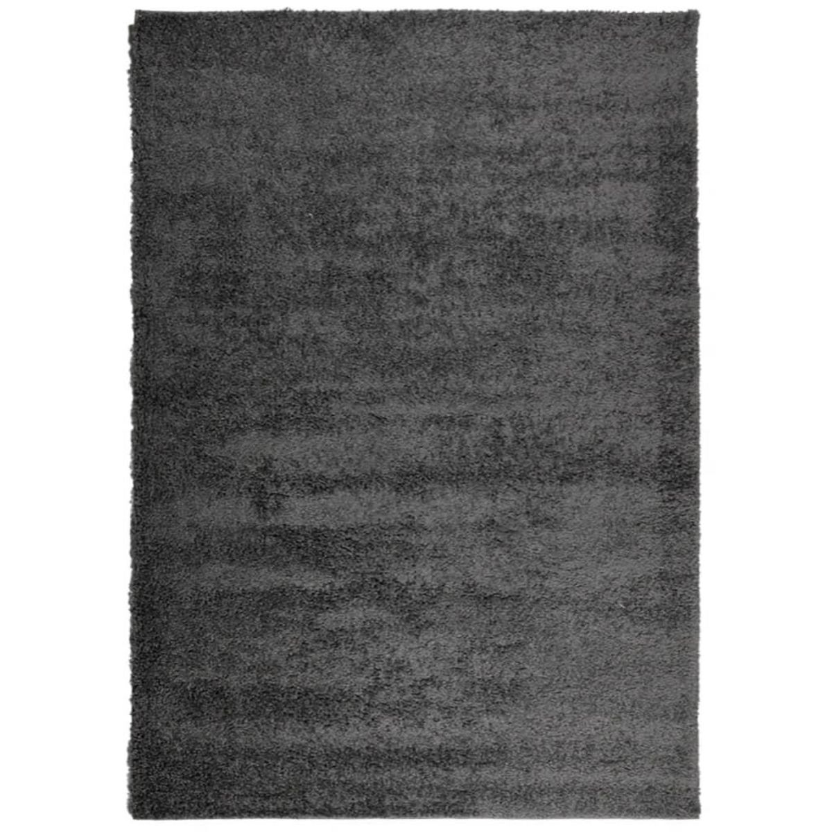 VIDAXL Tapis shaggy PAMPLONA poils longs moderne anthracite 160x230 cm