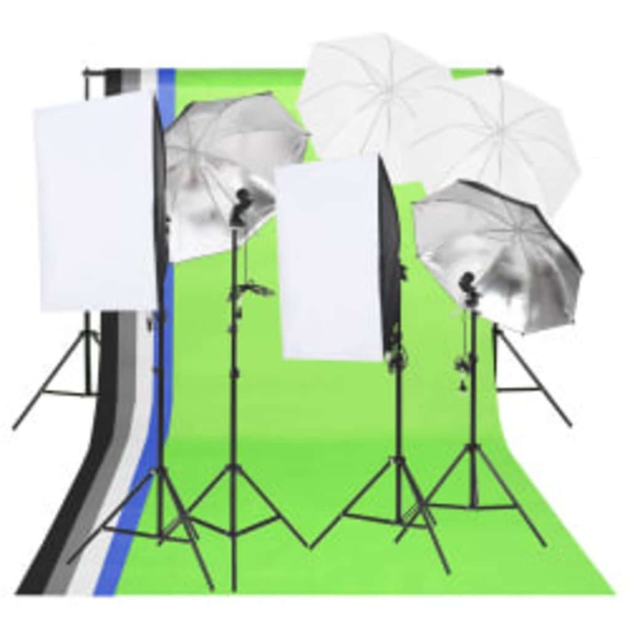 Voir la diapositive 2 : VIDAXL Kit de studio photo avec eclairage toile de fond et reflecteur