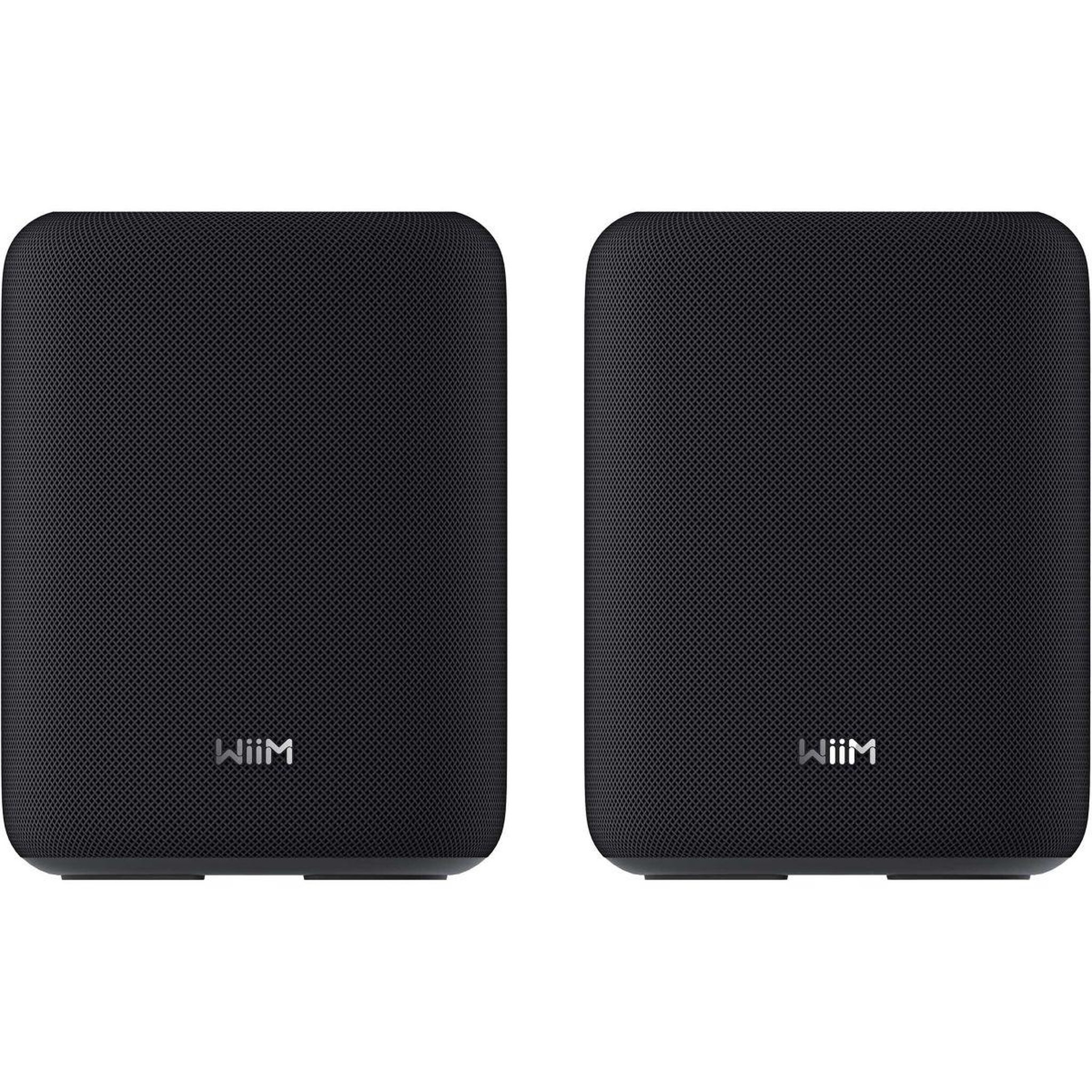 WIIM Enceinte résidentielle sound lite twin black