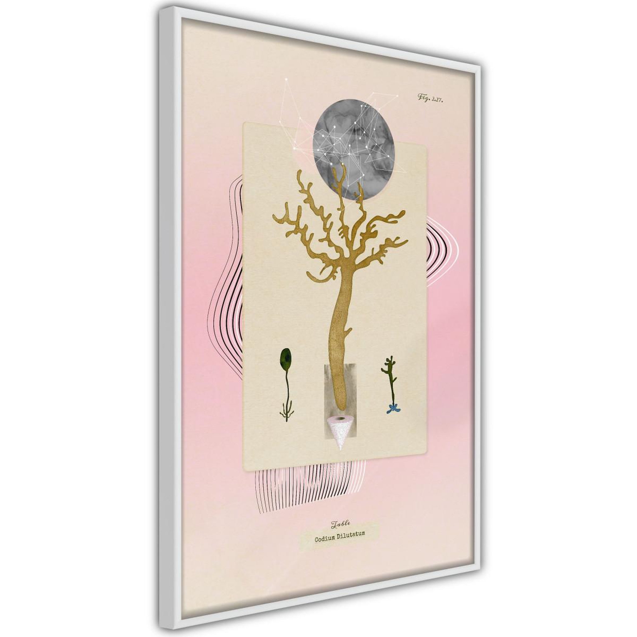 Paris Prix Affiche Murale Encadrée  Aquatic Plant