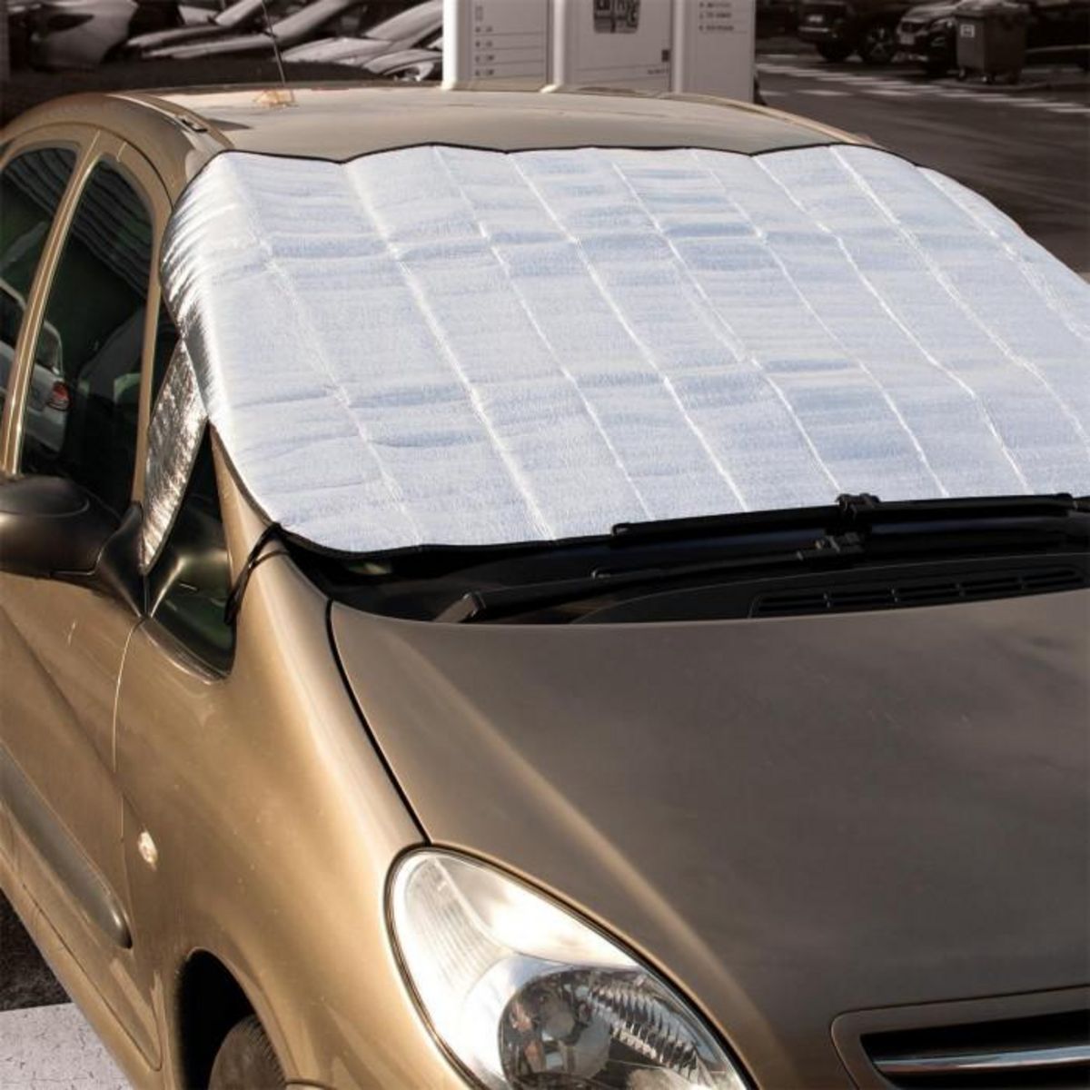 Paris Prix Bâche Pare-Brise  Anti Givre  210cm Gris