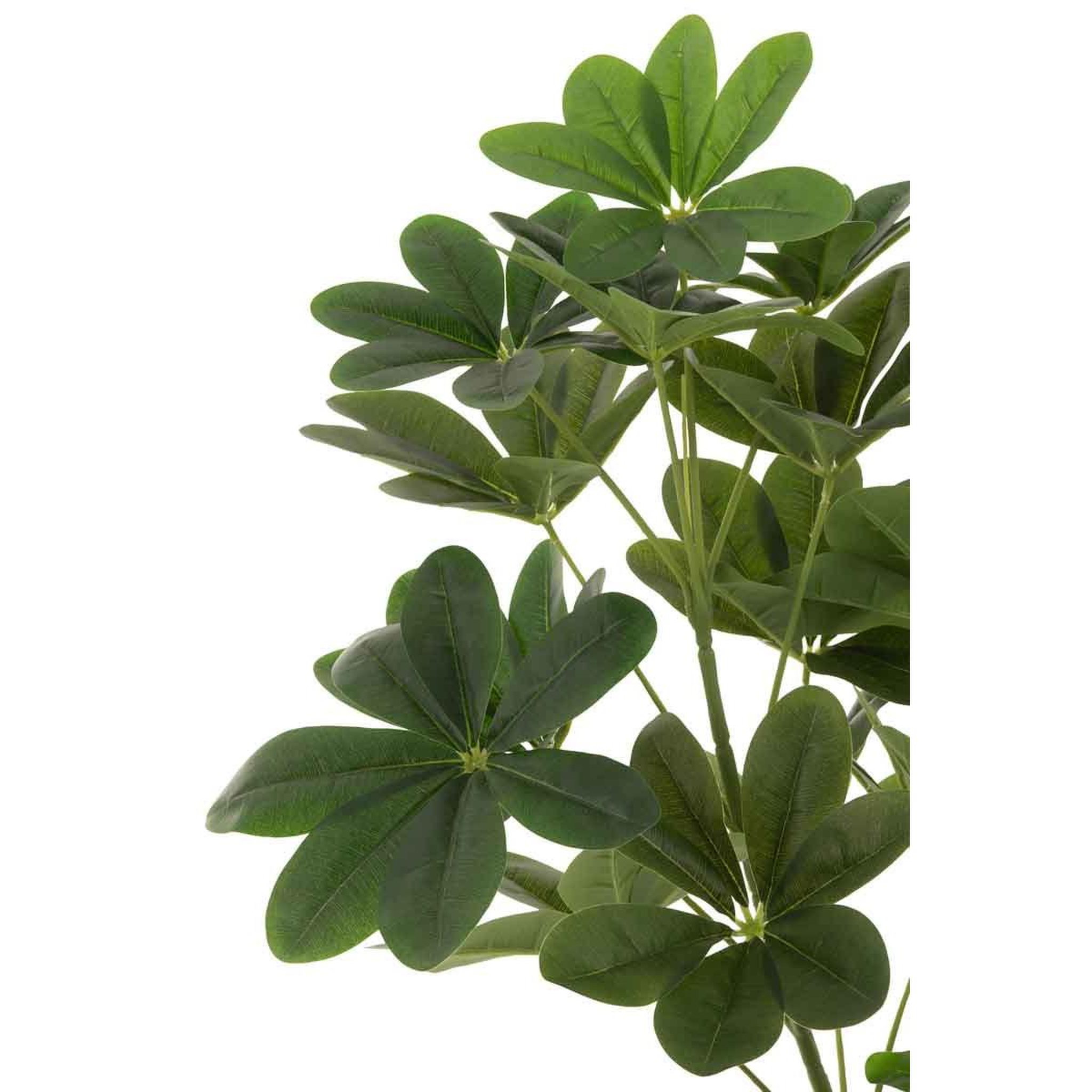Voir la diapositive 2 : J-LINE Plante artificielle en pot  pachira  157cm vert