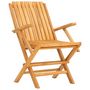 Voir la diapositive 3 : VIDAXL Chaises de jardin pliantes lot de 2 61x67x90cm bois massif teck