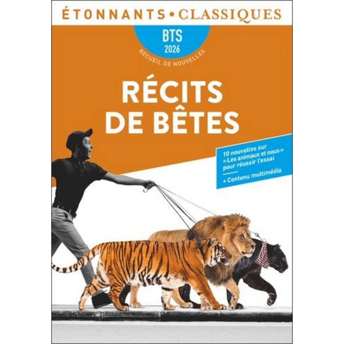 RECITS DE BETES. DIX NOUVELLES EN LIEN AVEC LE THEME BTS :  LES ANIMAUX ET NOUS , EDITION 2026, Chedeville Elise