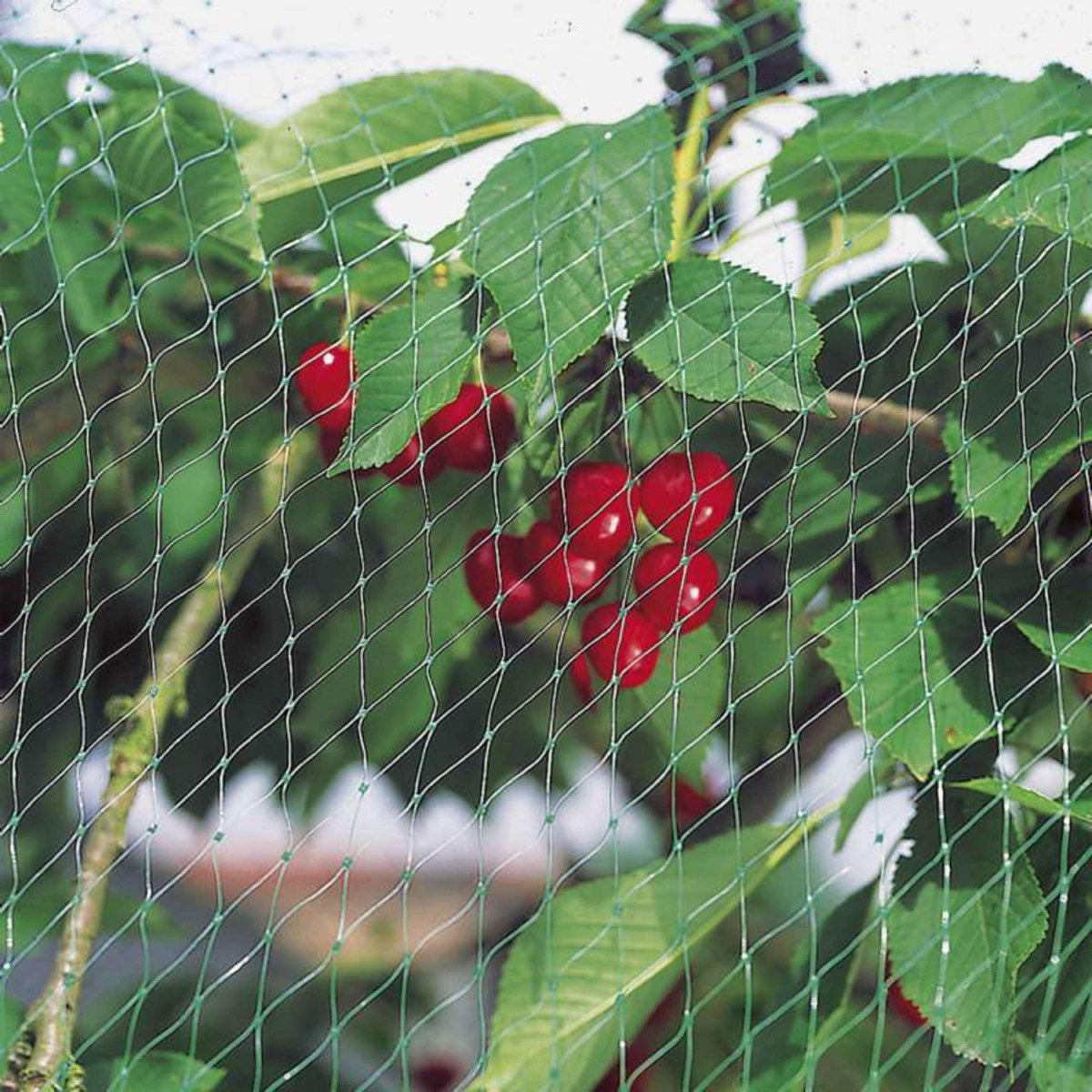 Windhager Filet de protection anti-oiseau