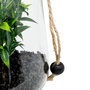 Voir la diapositive 3 : ATMOSPHERA Terrarium à Suspendre  Naly  15cm Vert